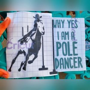 Decal/ bumper sticker/ sticker